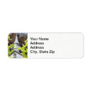 Search for rural return address labels Country
