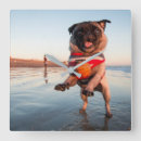 Search for pug clocks Puppy