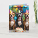 Search for staffies cards Dog