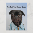 Search for denim postcards Animal