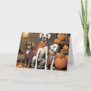 Search for treat halloween cards Pumpkins