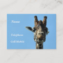 Search for giraffe business cards Cute