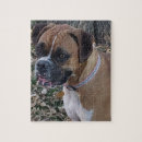 Search for boxer dog puzzles Dogs