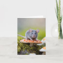 Search for mouse note cards Cute