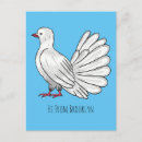 Search for fantail postcards Bird