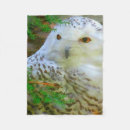 Search for christmas owl blankets Pink