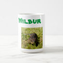 Search for lizard mugs Wildlife
