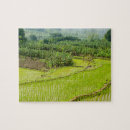 Search for banana puzzles Landscape