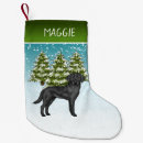 Search for black labrador christmas stockings Winter