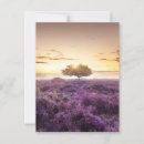 Search for heather postcards Purple