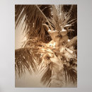 Search for tree key art West