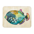 Search for fish magnets Aquarium