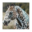 Search for appaloosa horse home decor Fantasy