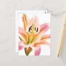 Search for flower petals postcards Watercolor