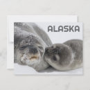 Search for mom and baby postcards Alaska