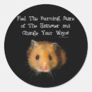 Search for hamster stickers Fun