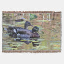 Search for duck blankets Couple