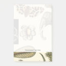 Search for elephant sticky notes post it notes Animals