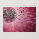 Search for sperm postcards Illustration