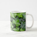 Search for ivy mugs Nature