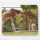Search for zoos mousepads Neck