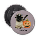 Search for halloween bottle openers Pumpkin