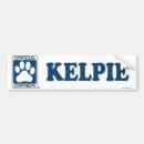 Search for kelpie bumper stickers Canine