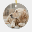 Search for golden retriever christmas tree decorations Beautiful