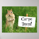 Search for chipmunk art Wildlife