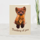 Search for martin cards Wildlife