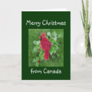 Search for from canada christmas cards Wildlife