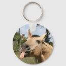 Search for buckskin key rings Animal