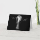 Search for cow cards Holstein