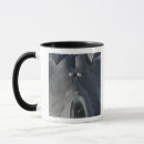 Search for jetfighter mugs Fighter jets