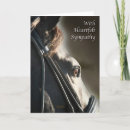 Search for bridle Dressage
