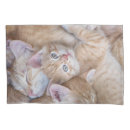 Search for orange bedding pillowcases Kitten