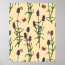 Search for aromatherapy posters Floral