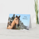 Search for horse lover christmas cards Merry