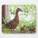 Search for ducklings mousepads Feathers
