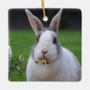 Search for dutch rabbit decor Pet