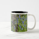 Search for abundance mugs Colourful