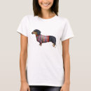 Search for woolly Dachshund