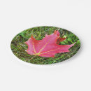 Search for maple leaf plates Leaves
