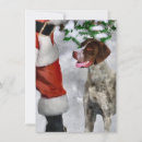 Search for german shorthaired pointer christmas cards Cute