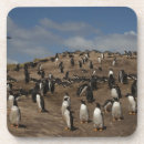 Search for penguin barware Coast