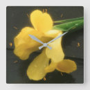 Search for still photography Yellow