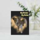 Search for pedigree postcards Pet