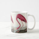 Search for audubon birds mugs Birds of america