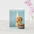 Search for cockapoo birthday cards Poodle