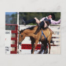 Search for bucking postcards Brown